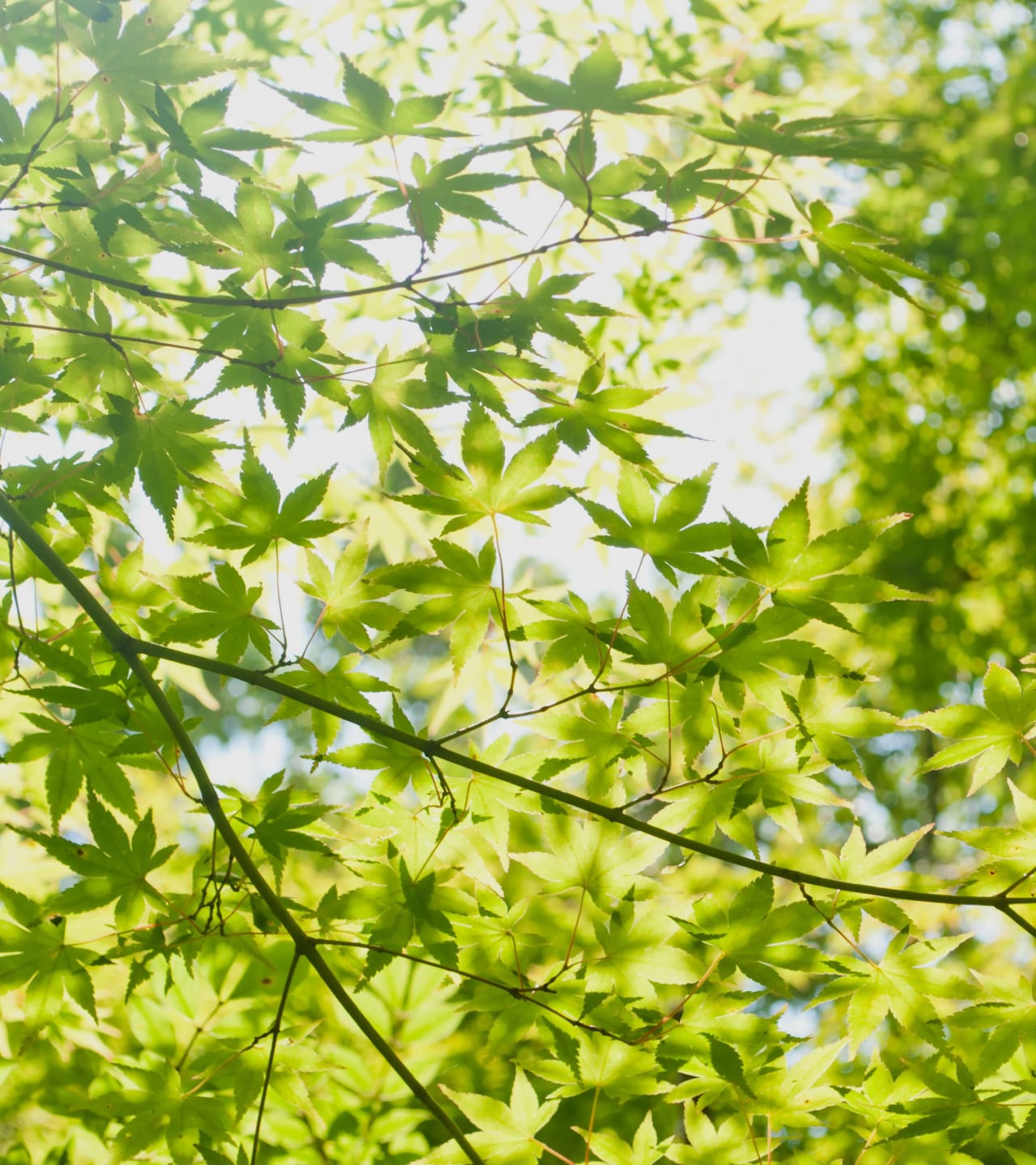 定期巡回随時訪問の様子